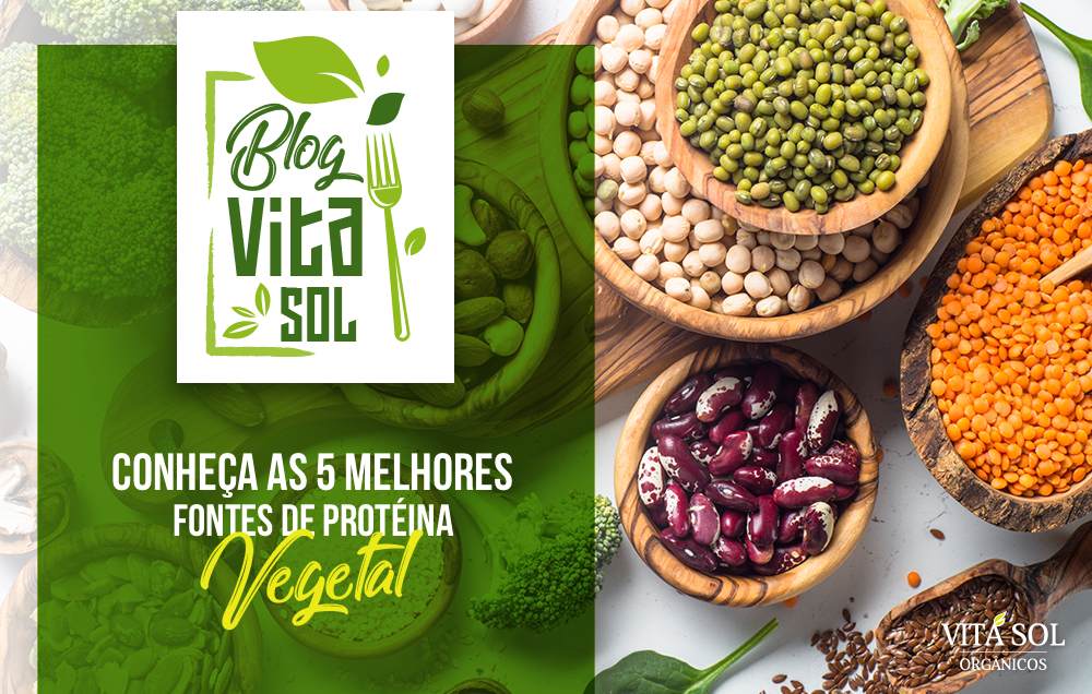 5 Melhores Fontes de Proteína Vegetal