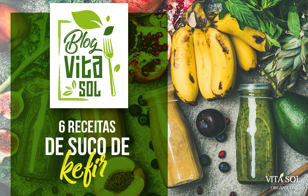 6 Receitas de Suco de Kefir