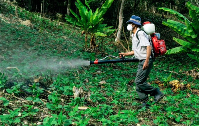 O Impacto Ambiental da Agricultura Orgânica: Por Que é Importante?